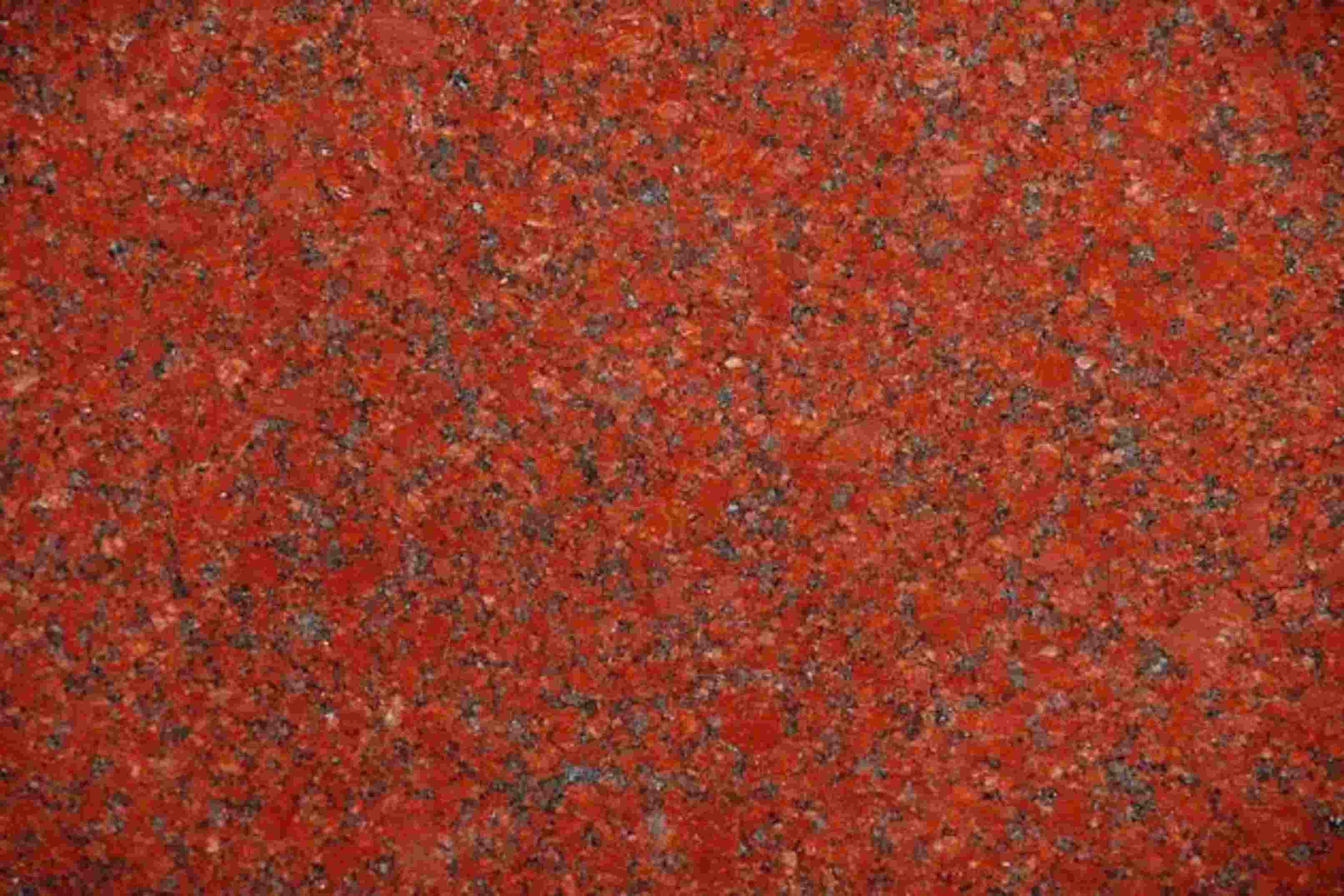 Free website template by Free-Template.co